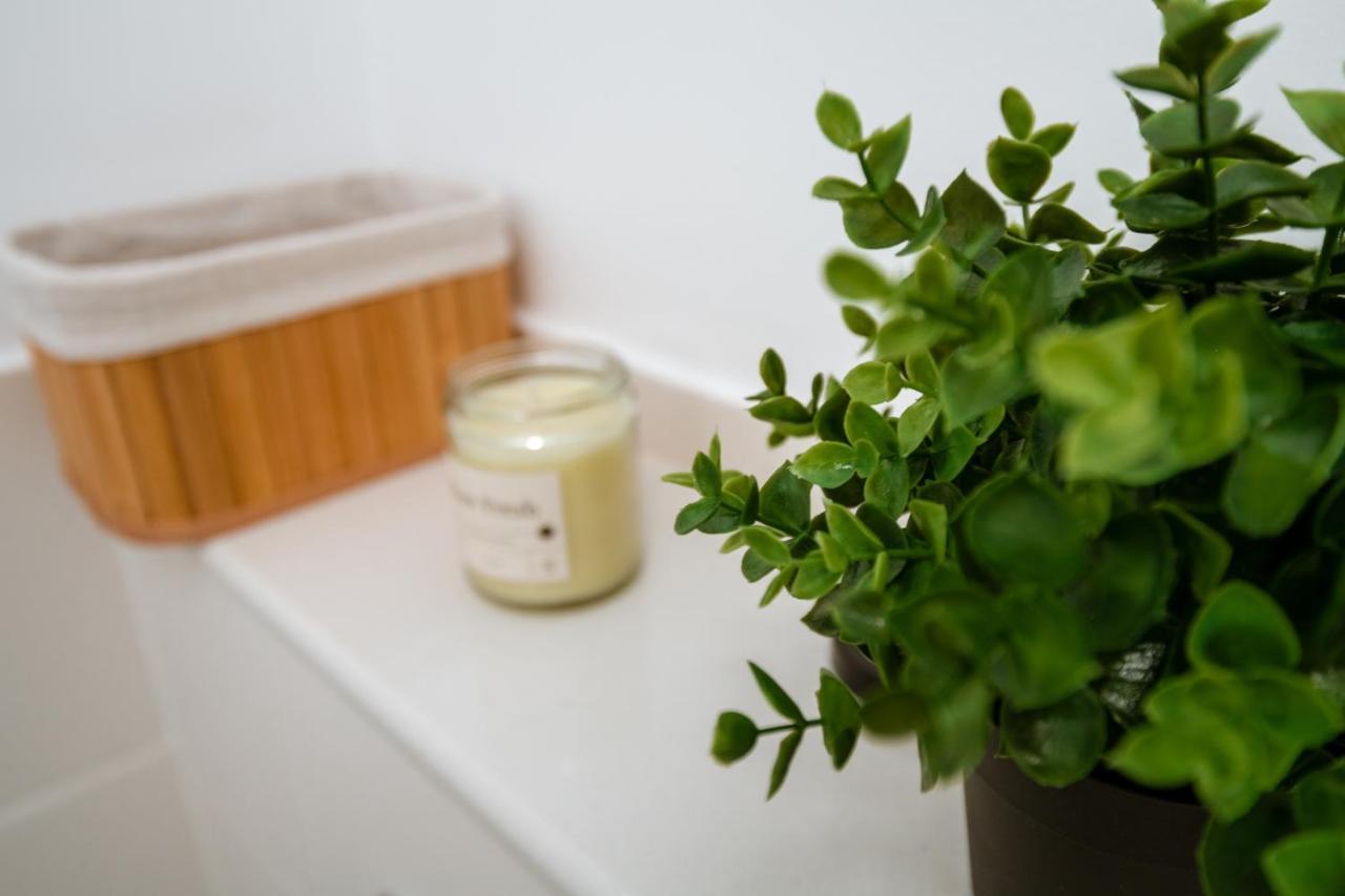 Apartament De Lux Central, P-Ta Matei Corvin クルージュ＝ナポカ エクステリア 写真